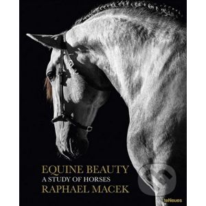 Equine Beauty - Raphael Macek