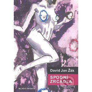 Spodní zrcadla (1987-2007) - David Jan Žák