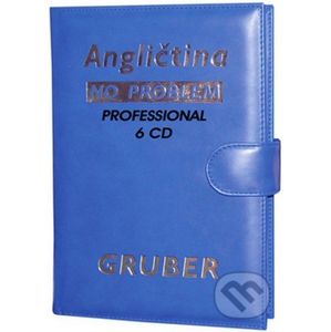 Angličtina No Problem - Professional - David Gruber