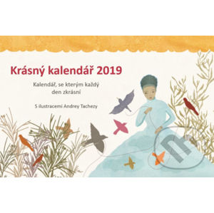 Krásný kalendář 2019 - Andrea Tachezy