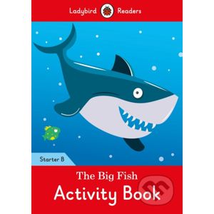 The Big Fish Activity Book - Ladybird Books
