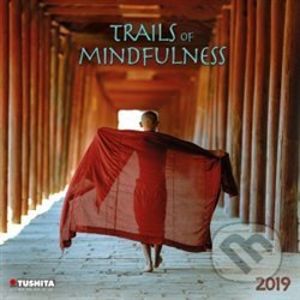 Trails of Mindfulness 2019 - Tushita
