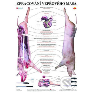 Plakát - Zpracování vepřového masa - Scientia