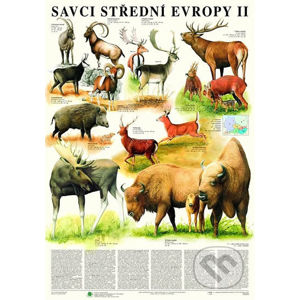 Plakát - Savci střední Evropy II. - Sudokopytníci - Scientia