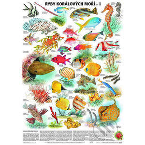 Plakát - Ryby korálových moří 1. díl - Scientia