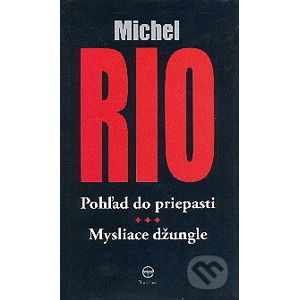 Pohľad do priepasti - Michel Rio