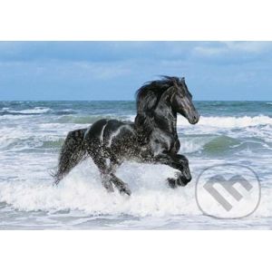 Čierny kôň - Clementoni