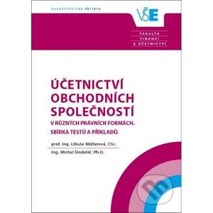 Účetnictví obchodních společností v různých právních formách - Libuše Müllerová, Michal Šindelář